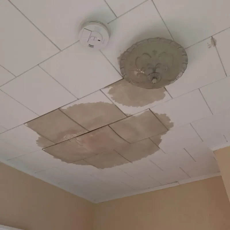 Ceiling Water Damage Repair in Cantonment, FL